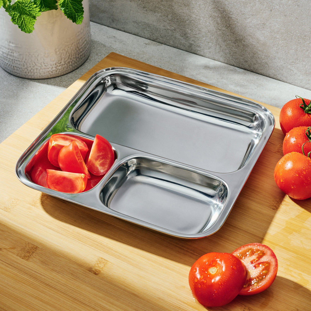 Dalcini Stainless steel dinner plate planetbox